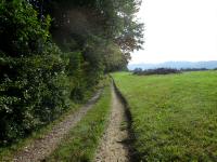  Blick auf die Wanderstrecke 