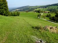  Wanderroute zur Gehftgruppe Burhof 