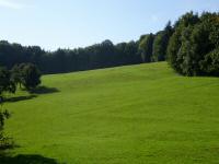 der Blick zurck auf die Wanderstrecke ber die Almwiese 