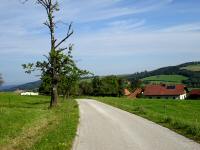 Blick auf die Wanderstrecke bei der Gehftgruppe Burhof 