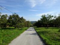 Blick auf die Wanderstrecke bei der Gehftgruppe Burhof 