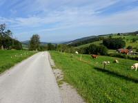  Blick auf die Wanderstrecke 