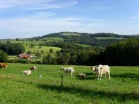  schner Fernblick zur Bonnleiten 