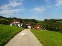  Blick auf die Wanderstrecke beim Weinkirnhof 