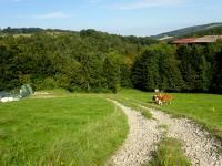  Blick auf die Wanderstrecke 