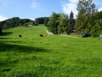  Blick auf die Bacher Alm 