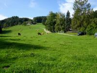  Blick auf die Bacher Alm 