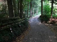  Wanderroute auf dem Bacherweg 