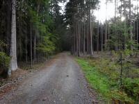  Wanderroute auf dem Mitterweg 