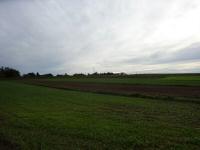  Fernblick zum Weiler Dietmannsdorf-Wildhuser 