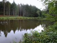  Blick auf einen idyllischen Fischweiher 