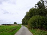  Wanderroute durch die Riede Bergfeld 