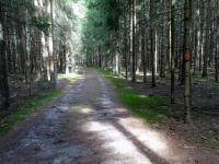  Blick auf die Wanderstrecke am Georgenberg 