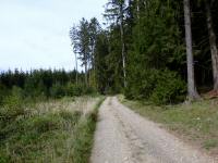  Blick auf die Wanderstrecke 