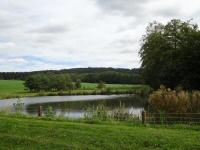 Fernblick ber einen kleinen Fischteich zum Georgenberg 