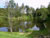  Blick zum 1. Fischteich am Wurzbach 