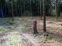  Blick auf die Wanderstrecke 