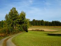  Blick auf die Wanderstrecke 