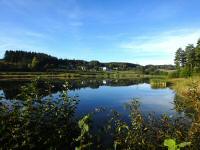 nochmals der schne Blick ber den Forstteich zur Streusiedlung Josefsdorf