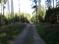  Wanderroute durch den Neuwald am Steinberg 