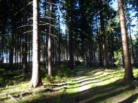  Wanderroute zur Steinpyramide auf dem Steinberg 