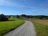 Blick auf die Wanderstrecke bei der Bhmerwald Strae (B38)