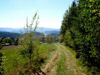  Blick auf die Wanderstrecke 