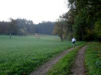  Blick auf die Wanderstrecke 