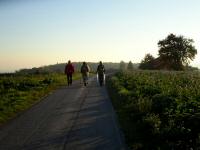  Wanderroute durch die Streusiedlung Brandstetten 