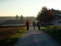  Wanderroute durch die Streusiedlung Brandstetten 