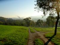 Blick ber die Wanderstrecke nach Kematen a.d.Ybbs 