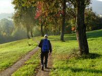  Wanderroute nach Marienthal 