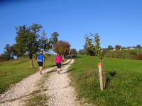  Wanderroute zur Gehftgruppe Engelsberg 