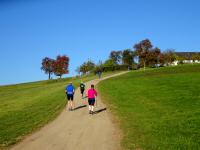  Wanderroute bei der Gehftgruppe Engelsberg 