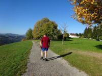 Blick auf die Wanderstrecke in St. Georgen in der Klaus 