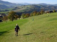 Blick auf die Wanderstrecke und in die Ferne zur Wieserhhe