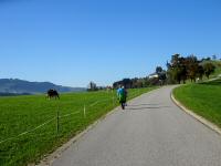  Wanderroute auf die Wieserhhe 