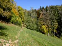  Blick auf die Wanderstrecke am Buchenberg 