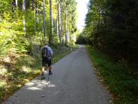  Blick auf die Wanderstrecke am Buchenberg 