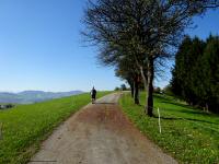  Blick auf die Wanderstrecke auf dem Buchenberg 