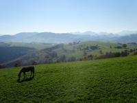  schner Fernblick von der Aussichtswarte 