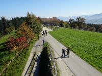 Blick auf die Wanderstrecke von der Aussichtswarte 