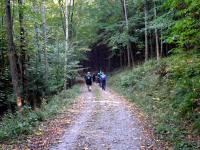 Blick auf die Wanderstrecke vom Buchenberg