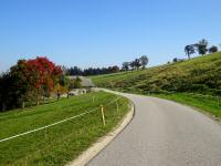 Blick auf die Wanderstrecke beim Gehft Gromayr 