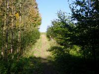  Wanderroute bergan zu den Gehften Engelsberg 