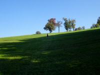 Wanderroute bergan zu den Gehften Lehen und Engelsberg 