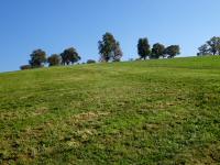 Wanderroute bergan zu den Gehften Lehen und Engelsberg 