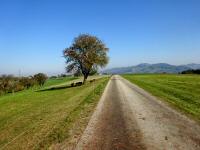  Blick auf die Wanderstrecke 