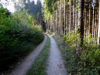  Blick auf die Wanderstrecke 