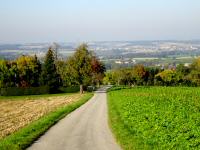 Blick auf die Wanderstrecke mit schner Fernsicht 